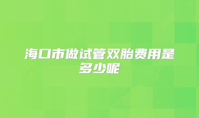 海口市做试管双胎费用是多少呢