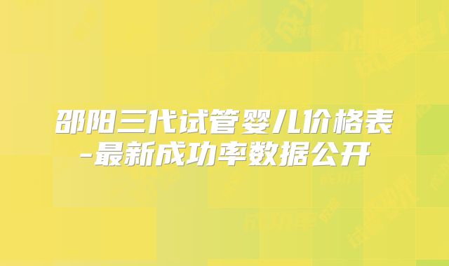 邵阳三代试管婴儿价格表-最新成功率数据公开