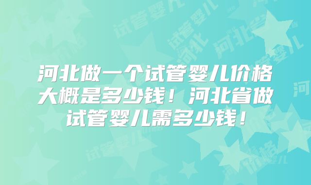 河北做一个试管婴儿价格大概是多少钱！河北省做试管婴儿需多少钱！