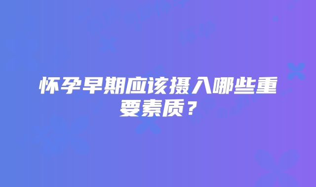 怀孕早期应该摄入哪些重要素质?