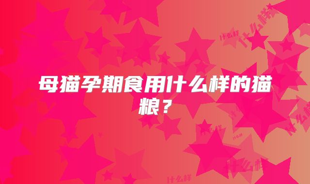 母猫孕期食用什么样的猫粮？