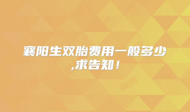 襄阳生双胎费用一般多少,求告知！