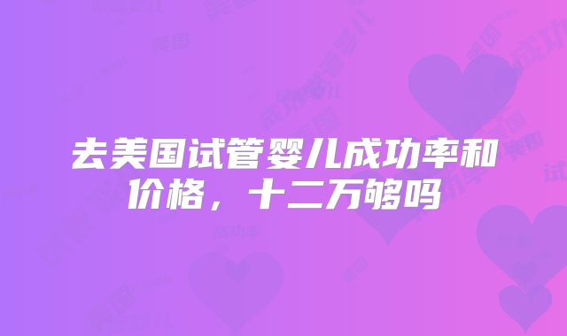 去美国试管婴儿成功率和价格，十二万够吗