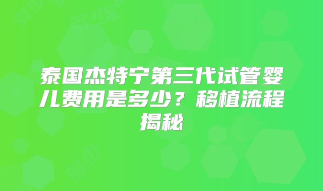 泰国杰特宁第三代试管婴儿费用是多少？移植流程揭秘