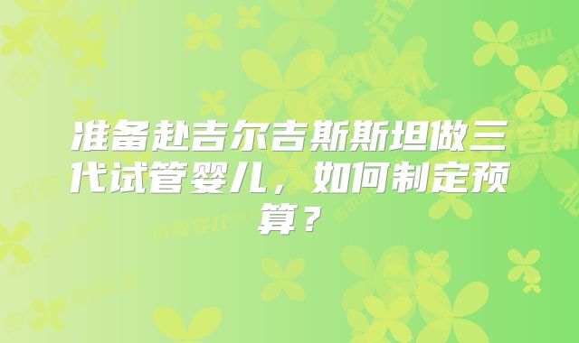 准备赴吉尔吉斯斯坦做三代试管婴儿,如何制定预算?