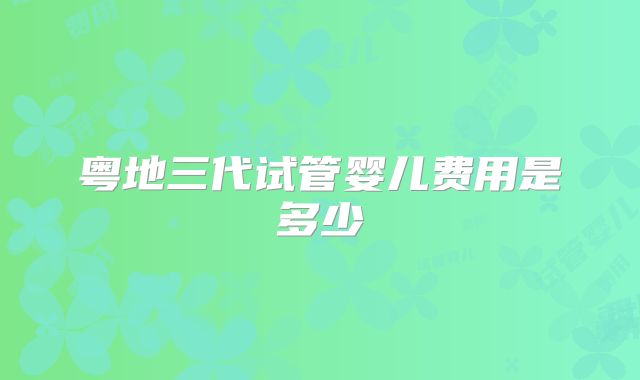 粤地三代试管婴儿费用是多少