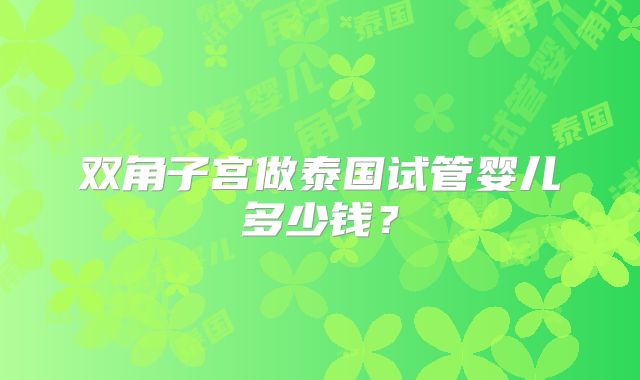 双角子宫做泰国试管婴儿多少钱?