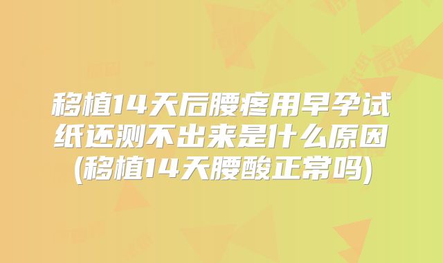 移植14天后腰疼用早孕试纸还测不出来是什么原因(移植14天腰酸正常吗)