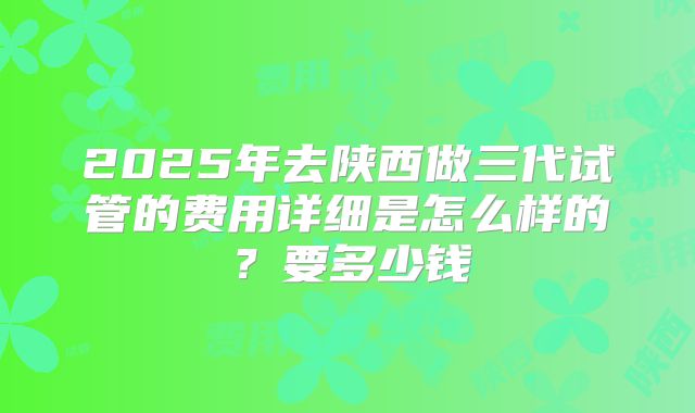 2025年去陕西做三代试管的费用详细是怎么样的?要多少钱