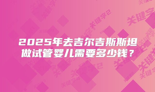 2025年去吉尔吉斯斯坦做试管婴儿需要多少钱？