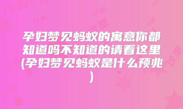 孕妇梦见蚂蚁的寓意你都知道吗不知道的请看这里(孕妇梦见蚂蚁是什么预兆)