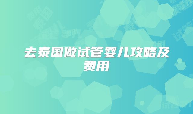 去泰国做试管婴儿攻略及费用