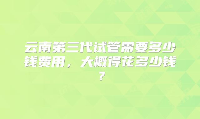 云南第三代试管需要多少钱费用,大概得花多少钱?