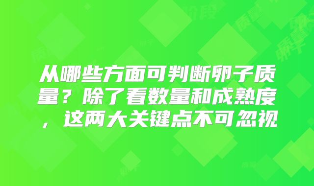 从哪些方面可判断卵子质量?除了看数量和成熟度,这两大关键点不可忽视