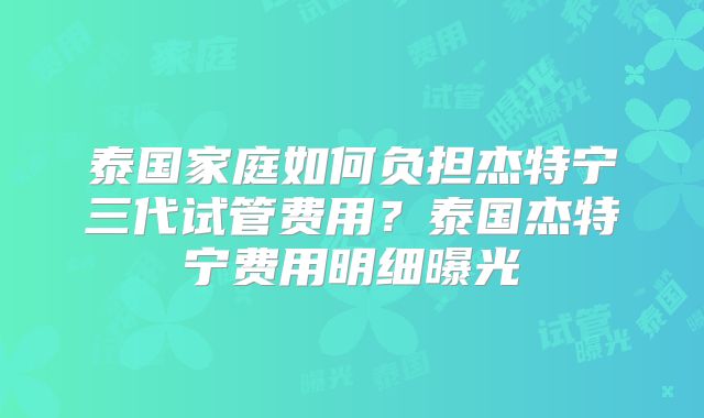 泰国家庭如何负担杰特宁三代试管费用？泰国杰特宁费用明细曝光