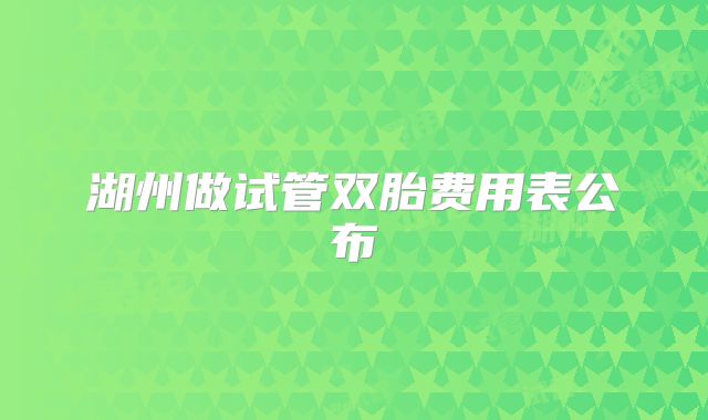 湖州做试管双胎费用表公布