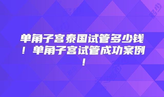 单角子宫泰国试管多少钱!单角子宫试管成功案例!