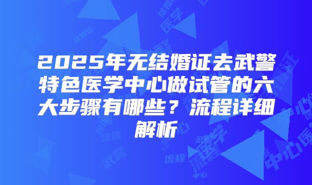 2025年无结婚证去武警特色医学中心做试管的六大步骤有哪些？流程详细解析