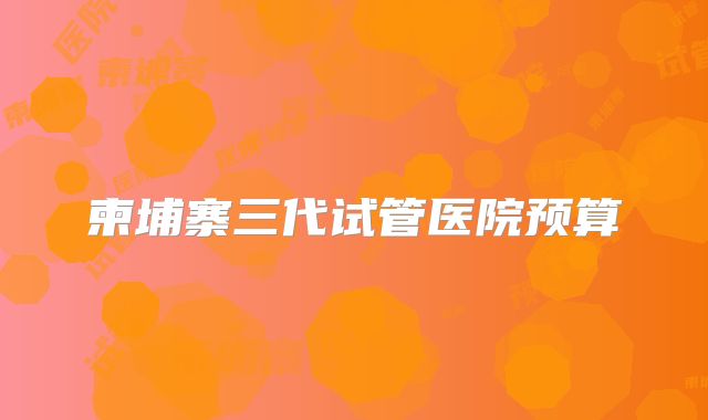 柬埔寨三代试管医院预算