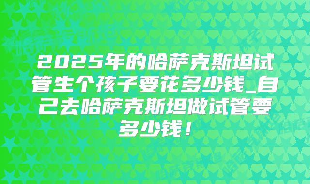 2025年的哈萨克斯坦试管生个孩子要花多少钱_自己去哈萨克斯坦做试管要多少钱!