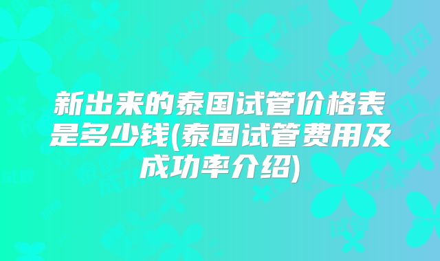 新出来的泰国试管价格表是多少钱(泰国试管费用及成功率介绍)