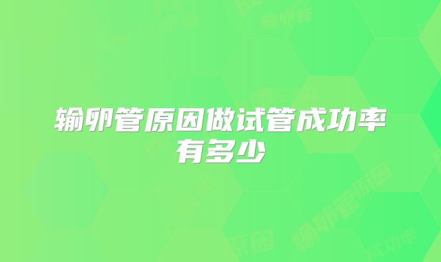 输卵管原因做试管成功率有多少