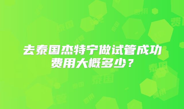 去泰国杰特宁做试管成功费用大概多少？