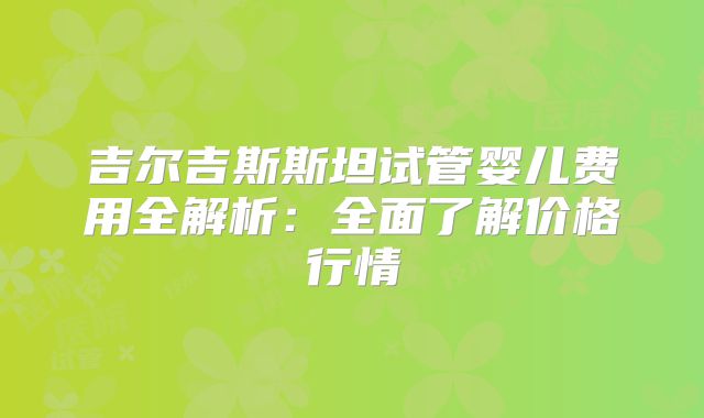 吉尔吉斯斯坦试管婴儿费用全解析：全面了解价格行情