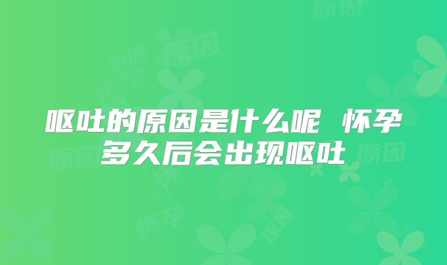 呕吐的原因是什么呢 怀孕多久后会出现呕吐