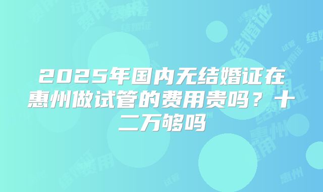 2025年国内无结婚证在惠州做试管的费用贵吗？十二万够吗