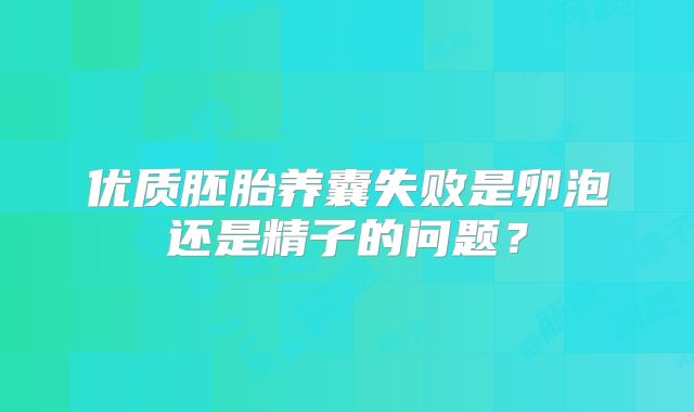 优质胚胎养囊失败是卵泡还是精子的问题?