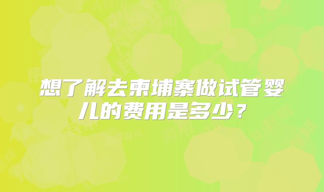 想了解去柬埔寨做试管婴儿的费用是多少？