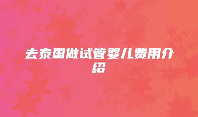 去泰国做试管婴儿费用介绍