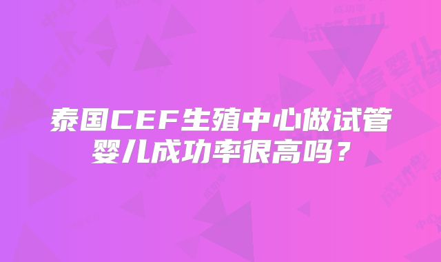 泰国CEF生殖中心做试管婴儿成功率很高吗？