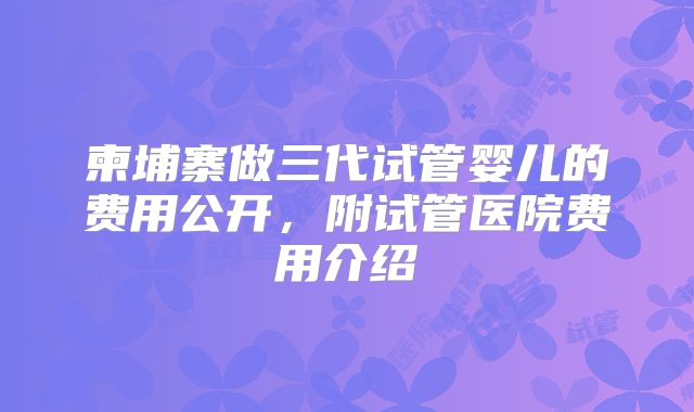 柬埔寨做三代试管婴儿的费用公开，附试管医院费用介绍