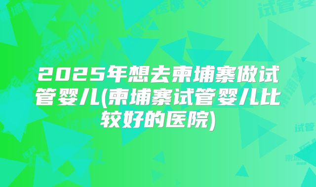 2025年想去柬埔寨做试管婴儿(柬埔寨试管婴儿比较好的医院)