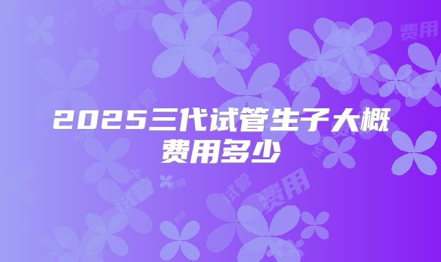2025三代试管生子大概费用多少