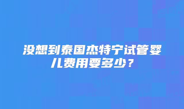 没想到泰国杰特宁试管婴儿费用要多少？