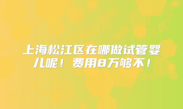 上海松江区在哪做试管婴儿呢!费用8万够不!