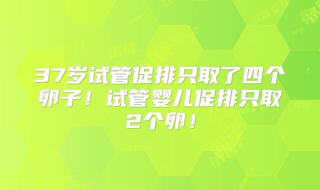 37岁试管促排只取了四个卵子!试管婴儿促排只取2个卵!