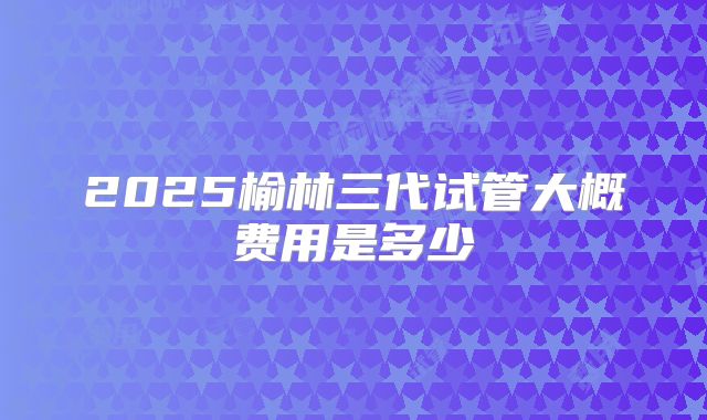 2025榆林三代试管大概费用是多少