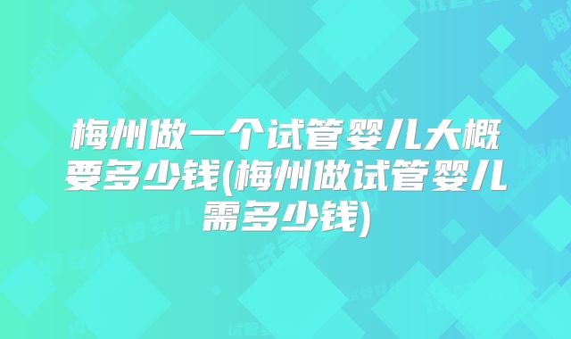 梅州做一个试管婴儿大概要多少钱(梅州做试管婴儿需多少钱)