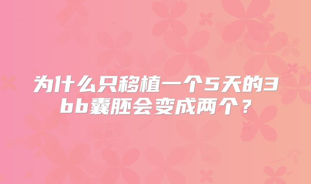 为什么只移植一个5天的3bb囊胚会变成两个？