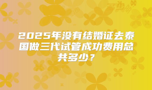 2025年没有结婚证去泰国做三代试管成功费用总共多少?