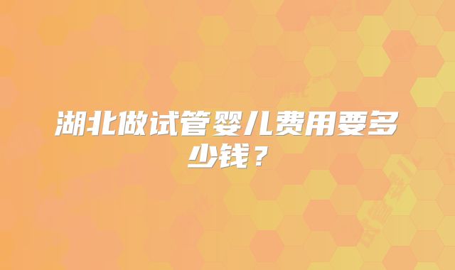 湖北做试管婴儿费用要多少钱？