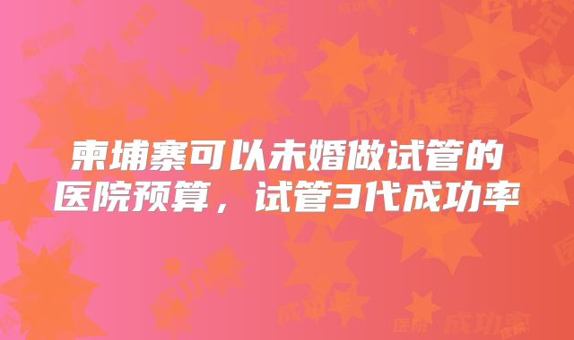 柬埔寨可以未婚做试管的医院预算，试管3代成功率