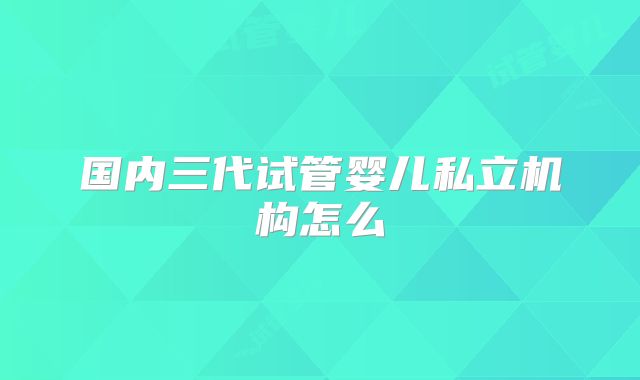 国内三代试管婴儿私立机构怎么