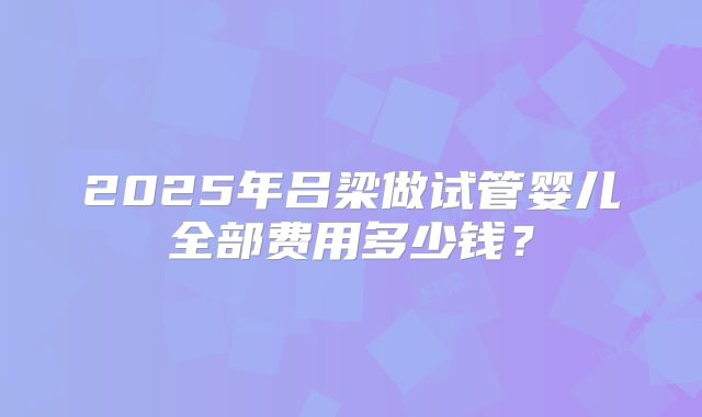 2025年吕梁做试管婴儿全部费用多少钱？