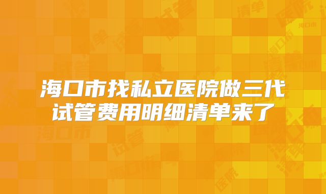 海口市找私立医院做三代试管费用明细清单来了