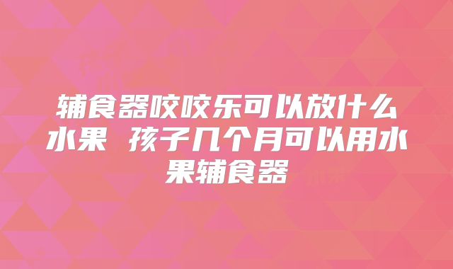 辅食器咬咬乐可以放什么水果 孩子几个月可以用水果辅食器
